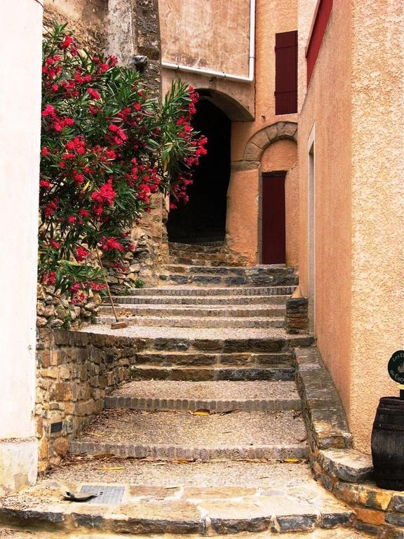 Apartment The Haven Cucugnan Exterior foto